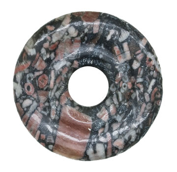 Fossila sjölilor "donut" 40 mm