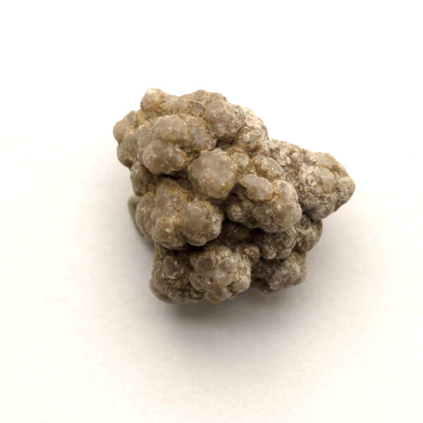 Koprolit från dinosaurie