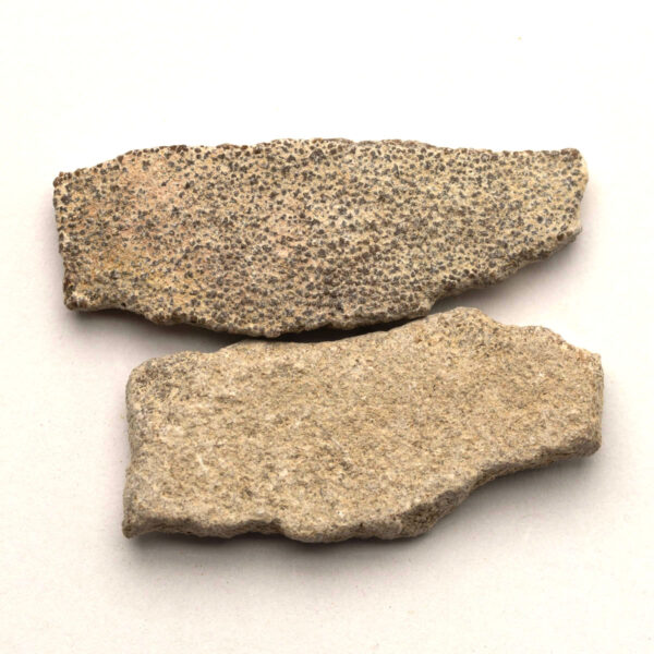 Saltasaurus äggskal, 2 bitar