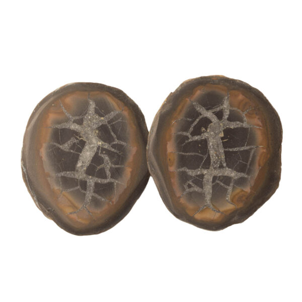 Septarian 28x24 mm